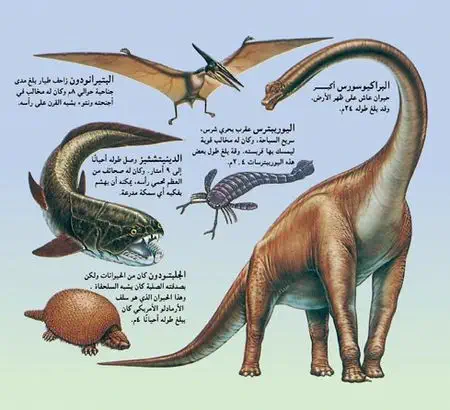 مراحل نمو بعض الحيوانات