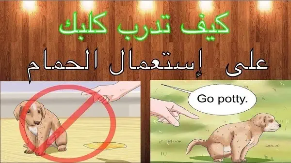 كيف تعلم كلبك دخول الحمام