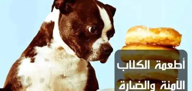 أطعمة الكلاب